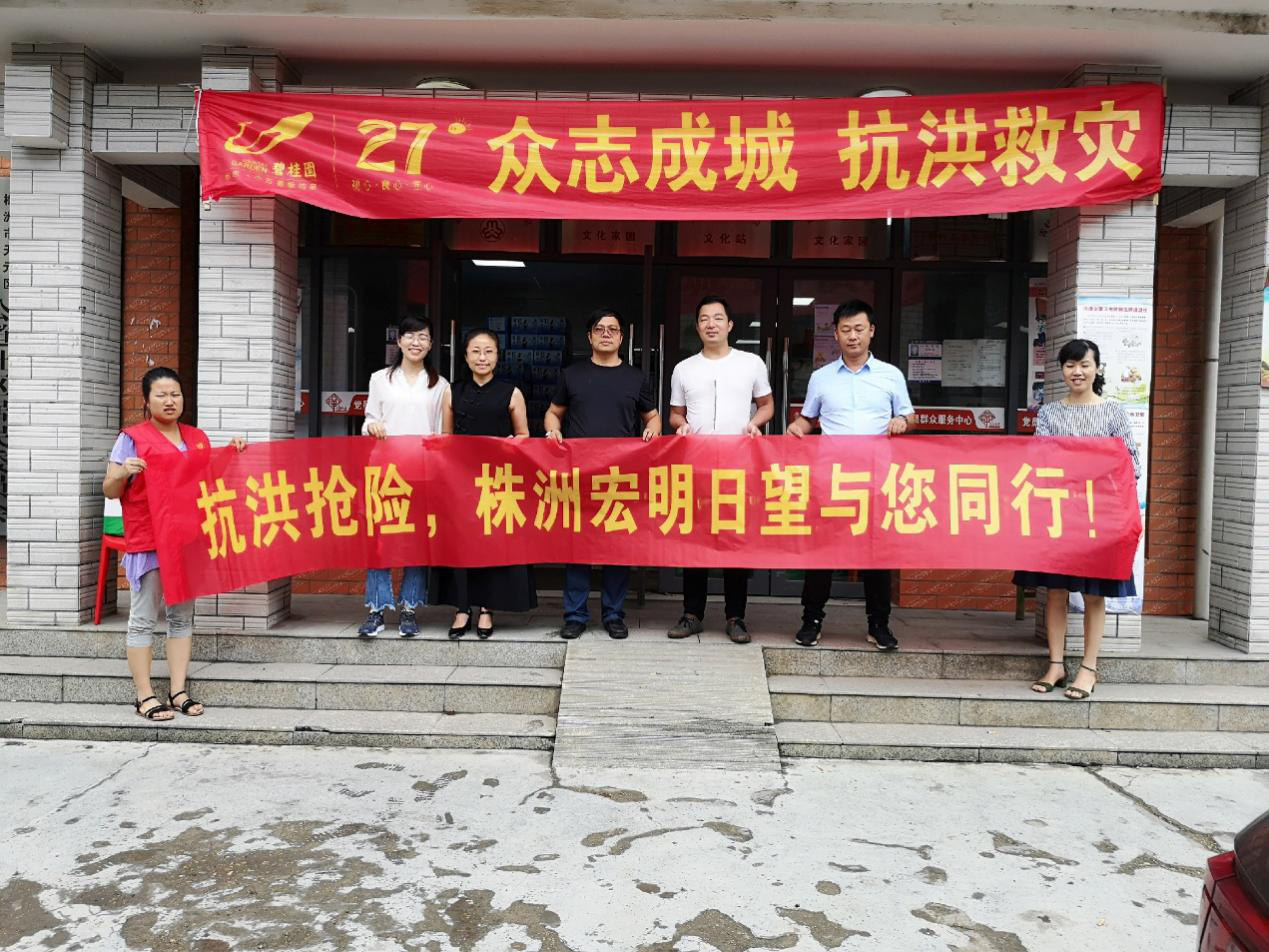 江南平台,宏明日望,株洲电子科技,湖南电容器,株洲电容器,电容器